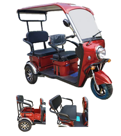 Pushpak 5000 2-Person 3-Wheel Mobility Scooter with Canopy